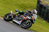 PJ-Motorsport-2019;anglesey-no-limits-trackday;anglesey-photographs;anglesey-trackday-photographs;enduro-digital-images;event-digital-images;eventdigitalimages;no-limits-trackdays;peter-wileman-photography;racing-digital-images;trac-mon;trackday-digital-images;trackday-photos;ty-croes